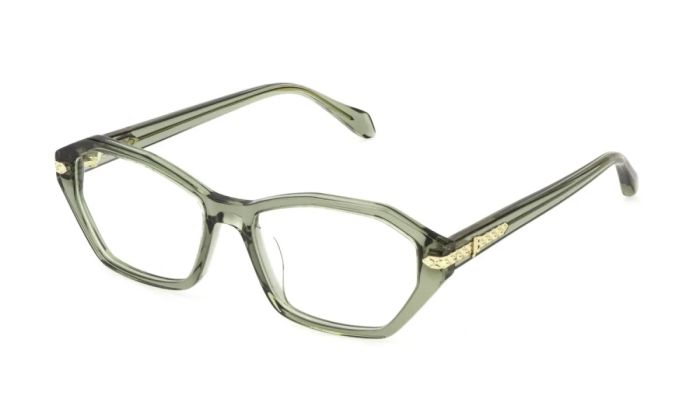 JUST CAVALLI VJC221 0804 53