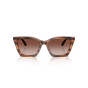 EMPORIO ARMANI EA4250U 626613 54
