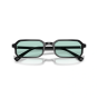 EMPORIO ARMANI EA4253U 501765 54