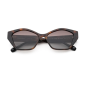 VISIONARIO FOX C2