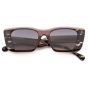 VISIONARIO GINGER C3