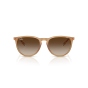 RAY-BAN RB4171 681413 54 ERIKA
