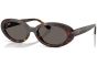 RAY-BAN RB2223 902/B1 54