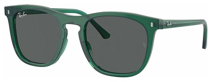 RAY-BAN RB2210 6615B1 53
