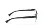 EMPORIO ARMANI EA1027 3001 55