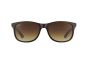 RAY-BAN ANDY RB4202 607313 55
