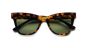 ETNIA BARCELONA FIGARI HVBK 52
