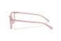 ARNETTE AN7281 3000 54 CRUMBLE