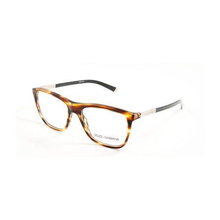 DOLCE & GABBANA DG3181 2673 55