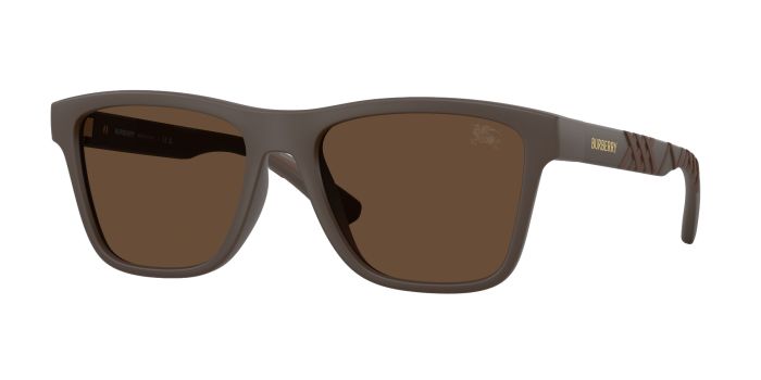 BURBERRY BE4482U 423473 55