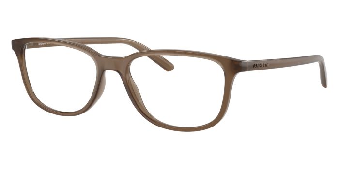 ARNETTE AN7281 2997 54 CRUMBLE