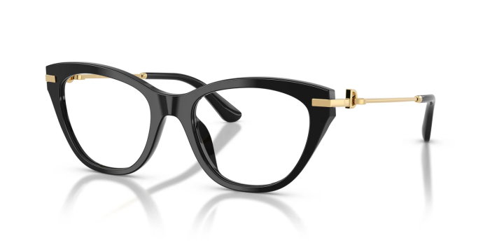 DOLCE & GABBANA DG3428 501 51