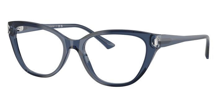 JIMMY CHOO JC3011 5035 54