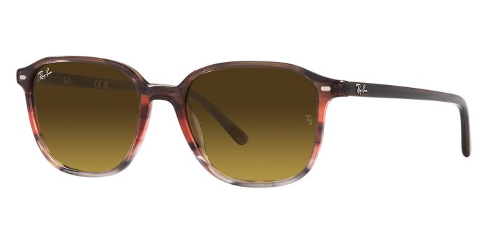 RAY-BAN RB2193 138085 53 LEONARD