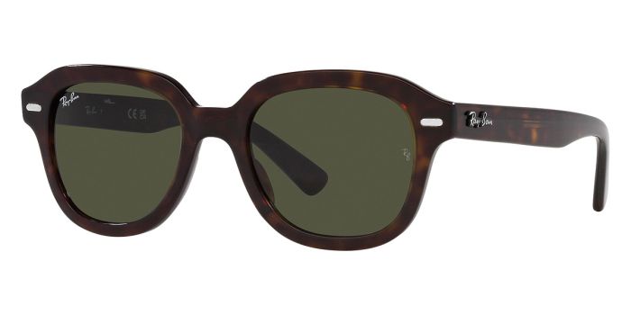 RAY-BAN RB4398 902/31 51 ERIK