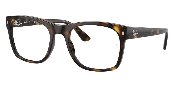 RAY-BAN FRAMES RX7228 2012 53