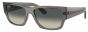 RAY-BAN RB0947S 667571 56 CARLOS