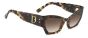 DSQUARED2 D2 0132/S ACI/HA 55