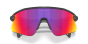 OAKLEY SUN OO9517 02 39 STUNT DEVIL
