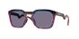 OAKLEY SUN OO9533 09 54 HSTN SQ