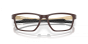 OAKLEY VISTA OX8153 14 55 METALINK