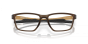OAKLEY VISTA OX8153 18 55 METALINK