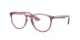 RAY-BAN FRAMES 7046 8509 51