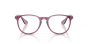 RAY-BAN FRAMES 7046 8509 51