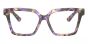 DOLCE & GABBANA DG3395 3440 53