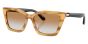 EMPORIO ARMANI EA4250U 62692Q 54