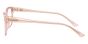 JIMMY CHOO JC3012 5034 53