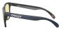OAKLEY SUN OO9013 L4 55 FROGSKINS