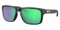 OAKLEY SUN OO9102 AI 55 HOLBROOK
