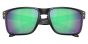 OAKLEY SUN OO9102 AI 55 HOLBROOK
