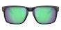 OAKLEY SUN OO9102 AI 55 HOLBROOK