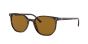 RAY-BAN RB2197 902/33 52 ELLIOT