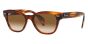 RAY-BAN RB0880S 954/51 52