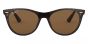 RAY-BAN RB2185 902/57 55 WAYFARER Ii