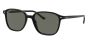RAY-BAN RB2193 901/58 53 LEONARD
