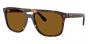 RAY-BAN RB2213 902/33 55