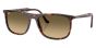 RAY-BAN RB2216 14290A 61