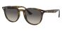 RAY-BAN RB4259 710/11 51