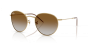 RAY-BAN RBR0103S 001/CB 53 ROUND REVERSE