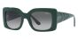 VOGUE VO5481S 305011 52