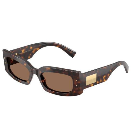 DOLCE & GABBANA DG4479 502/73 55