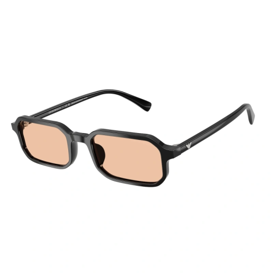 EMPORIO ARMANI EA4253U 501793 54