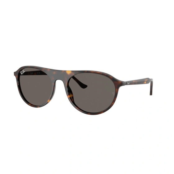 RAY-BAN RB2215 902/B1 59