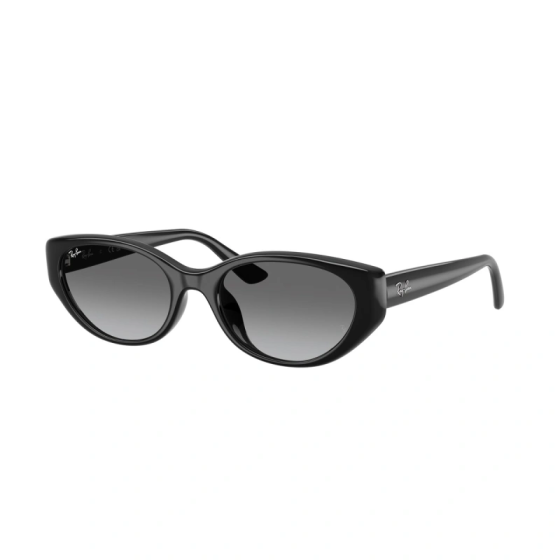 RAY-BAN RB4457D 667711 55