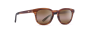MAUI JIM H737-10M CL KOKO HEAD MATTE TORTOISE