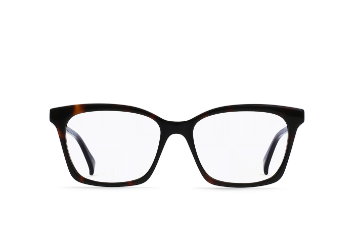 RAEN DEL KOLA TORTOISE
